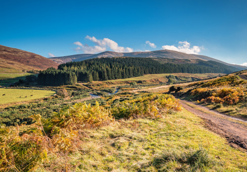 cottages in scottish highlands