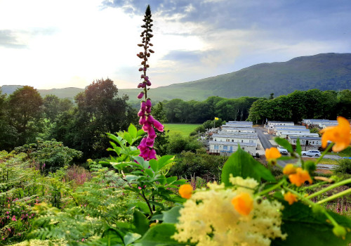 lagganhouse country park in ayrshire