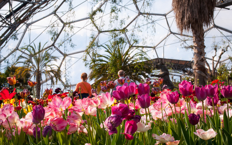 eden project cornwall