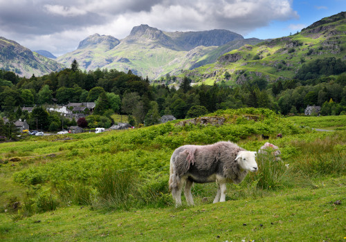 elterwater, cumbria