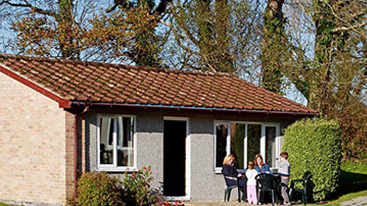 Photo of Bronze Bungalow