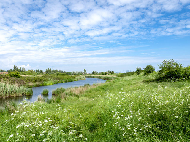 Photo of 2022 Willerby Grasmere