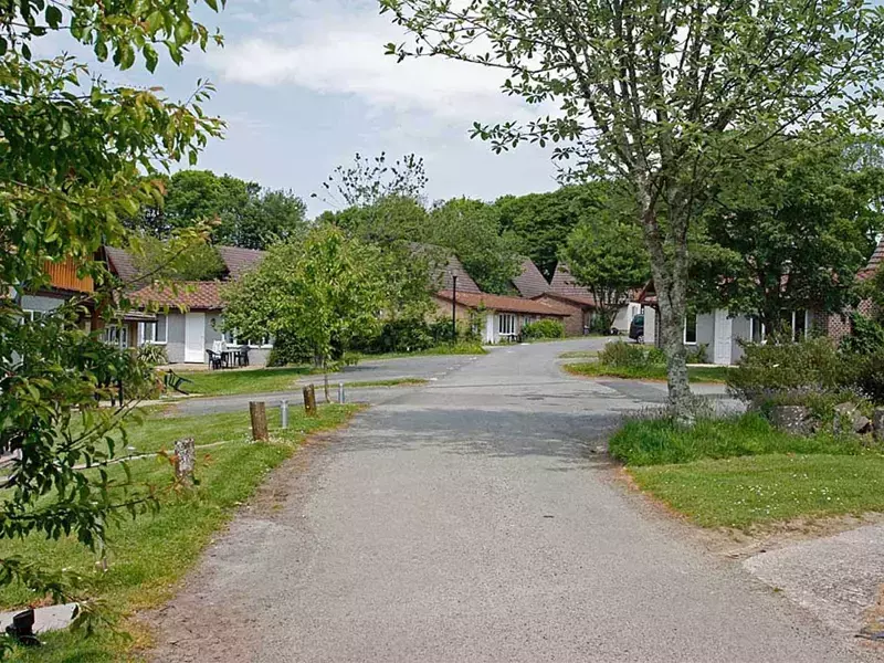 Silver Bungalow Pet  Cottage in Bodmin